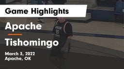 Apache  vs Tishomingo  Game Highlights - March 3, 2022