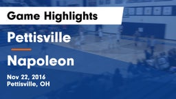 Pettisville  vs Napoleon Game Highlights - Nov 22, 2016