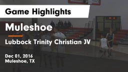 Muleshoe  vs Lubbock Trinity Christian JV Game Highlights - Dec 01, 2016