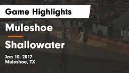 Muleshoe  vs Shallowater  Game Highlights - Jan 10, 2017