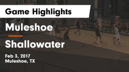 Muleshoe  vs Shallowater  Game Highlights - Feb 3, 2017
