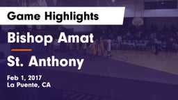 Bishop Amat  vs St. Anthony Game Highlights - Feb 1, 2017
