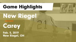 New Riegel  vs Carey  Game Highlights - Feb. 5, 2019