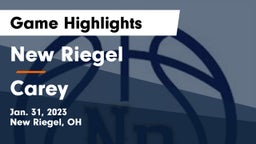 New Riegel  vs Carey  Game Highlights - Jan. 31, 2023