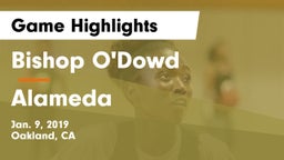 Bishop O'Dowd  vs Alameda  Game Highlights - Jan. 9, 2019