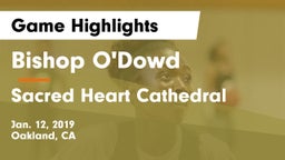 Bishop O'Dowd  vs Sacred Heart Cathedral  Game Highlights - Jan. 12, 2019