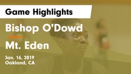 Bishop O'Dowd  vs Mt. Eden  Game Highlights - Jan. 16, 2019