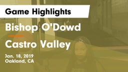 Bishop O'Dowd  vs Castro Valley  Game Highlights - Jan. 18, 2019
