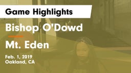 Bishop O'Dowd  vs Mt. Eden  Game Highlights - Feb. 1, 2019