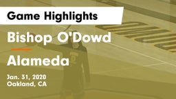 Bishop O'Dowd  vs Alameda  Game Highlights - Jan. 31, 2020