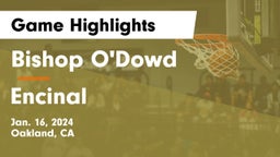 Bishop O'Dowd  vs Encinal  Game Highlights - Jan. 16, 2024