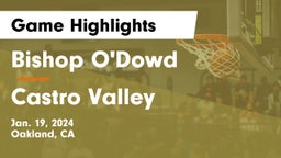 Bishop O'Dowd  vs Castro Valley  Game Highlights - Jan. 19, 2024