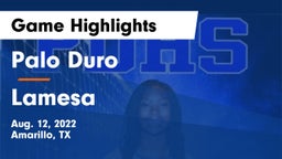 Palo Duro  vs Lamesa  Game Highlights - Aug. 12, 2022