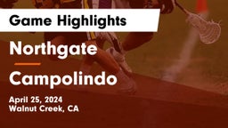 Northgate  vs Campolindo  Game Highlights - April 25, 2024