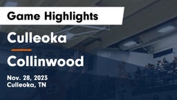 Culleoka  vs Collinwood  Game Highlights - Nov. 28, 2023