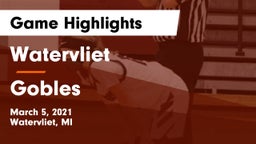 Watervliet  vs Gobles  Game Highlights - March 5, 2021