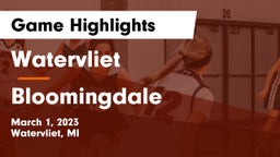 Watervliet  vs Bloomingdale Game Highlights - March 1, 2023