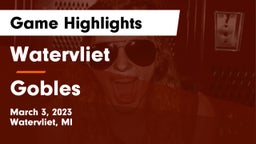 Watervliet  vs Gobles Game Highlights - March 3, 2023