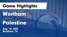 Wortham  vs Palestine  Game Highlights - Aug. 18, 2023
