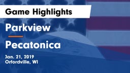 Parkview  vs Pecatonica  Game Highlights - Jan. 21, 2019