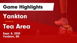 Yankton  vs Tea Area  Game Highlights - Sept. 8, 2020