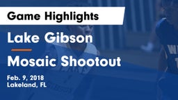 Lake Gibson  vs Mosaic Shootout Game Highlights - Feb. 9, 2018