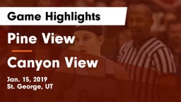 Pine View  vs Canyon View  Game Highlights - Jan. 15, 2019