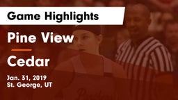 Pine View  vs Cedar  Game Highlights - Jan. 31, 2019