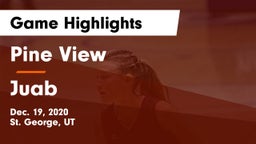 Pine View  vs Juab  Game Highlights - Dec. 19, 2020
