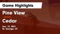 Pine View  vs Cedar  Game Highlights - Jan. 19, 2021