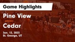 Pine View  vs Cedar  Game Highlights - Jan. 12, 2023