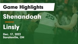 Shenandoah  vs Linsly  Game Highlights - Dec. 17, 2022