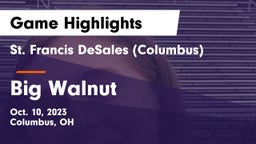 St. Francis DeSales  (Columbus) vs Big Walnut  Game Highlights - Oct. 10, 2023