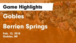 Gobles  vs Berrien Springs  Game Highlights - Feb. 13, 2018