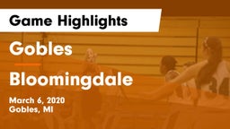 Gobles  vs Bloomingdale  Game Highlights - March 6, 2020