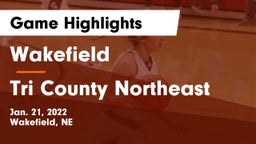 Wakefield  vs Tri County Northeast Game Highlights - Jan. 21, 2022