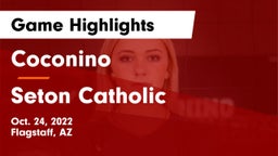 Coconino  vs Seton Catholic  Game Highlights - Oct. 24, 2022