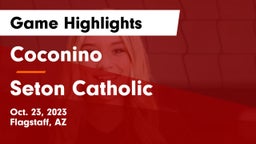 Coconino  vs Seton Catholic  Game Highlights - Oct. 23, 2023