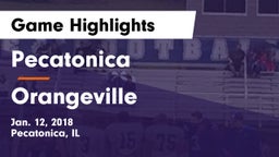 Pecatonica vs Orangeville Game Highlights - Jan. 12, 2018