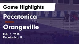 Pecatonica vs Orangeville Game Highlights - Feb. 1, 2018