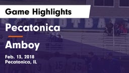 Pecatonica vs Amboy Game Highlights - Feb. 13, 2018