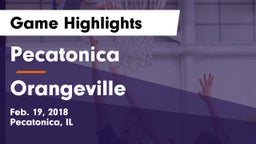 Pecatonica vs Orangeville Game Highlights - Feb. 19, 2018