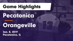 Pecatonica vs Orangeville  Game Highlights - Jan. 8, 2019