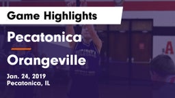 Pecatonica vs Orangeville  Game Highlights - Jan. 24, 2019