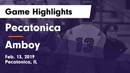 Pecatonica vs Amboy  Game Highlights - Feb. 13, 2019
