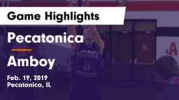 Pecatonica vs Amboy  Game Highlights - Feb. 19, 2019