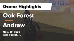 Oak Forest  vs Andrew  Game Highlights - Nov. 19, 2021