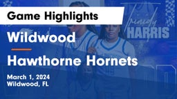 Wildwood  vs Hawthorne Hornets Game Highlights - March 1, 2024