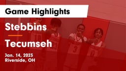 Stebbins  vs Tecumseh  Game Highlights - Jan. 14, 2023