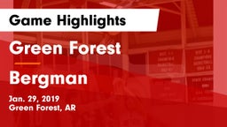 Green Forest  vs Bergman Game Highlights - Jan. 29, 2019